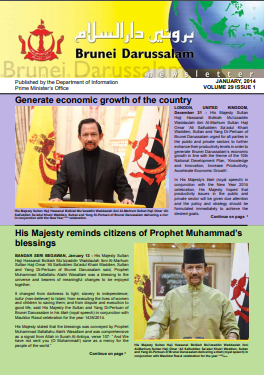 BDN JANUARY 2014.PNG