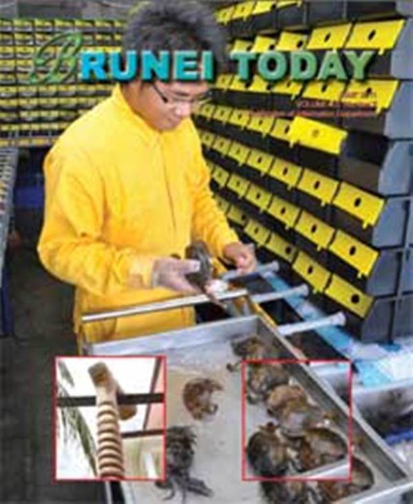 Brunei Today June 2011
