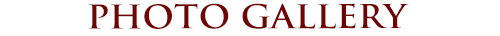 PhotoGallery.png